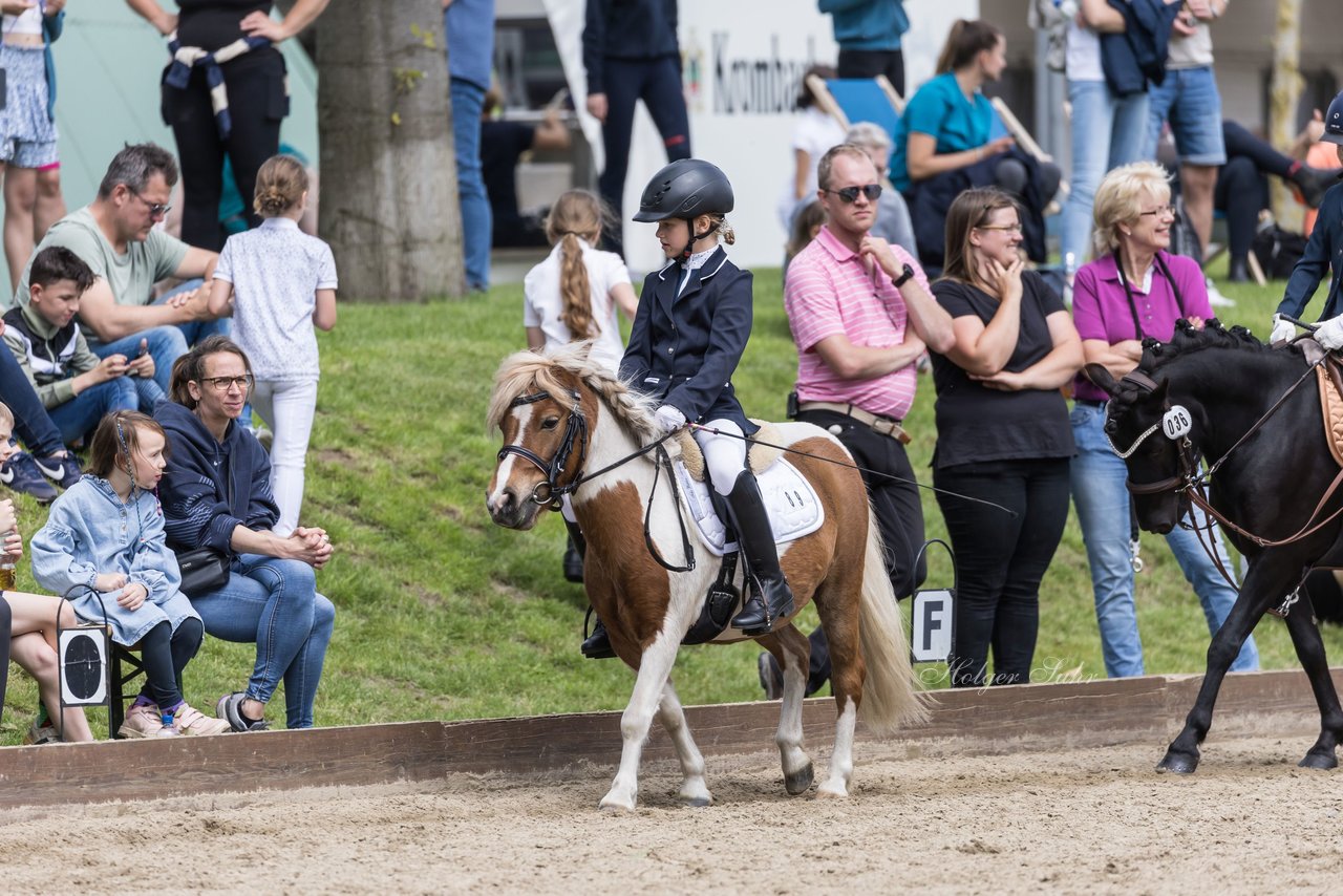 Bild 12 - Pony Akademie Turnier